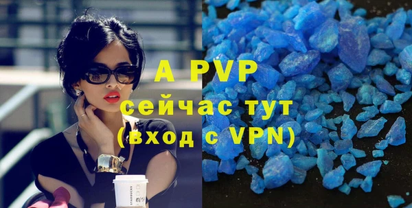 a pvp Белокуриха